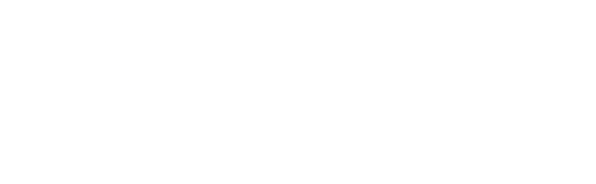 STG Logo